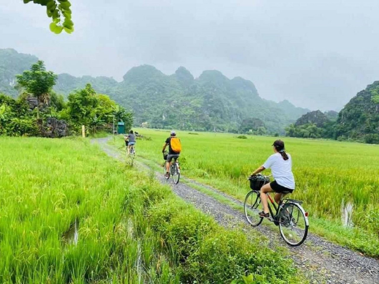 Beyond the Water: The Ultimate Guide to Cycling Halong Bay on Land